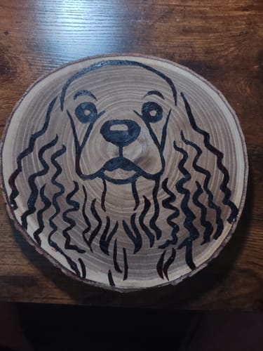 Customer photo: Wood Pre-Treatment by Alva H.