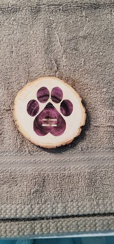 Customer photo: Scorch Marker Pro by Teresa S.