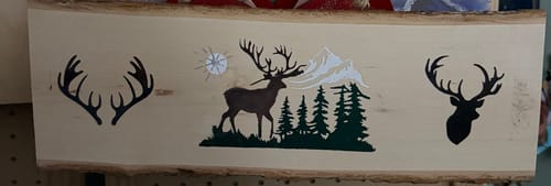 Customer photo: Scorch Paint by Amy B.