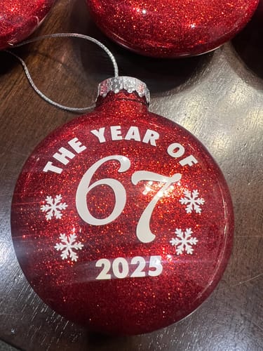 Customer photo: Wood Ornament Kit by Tina O.