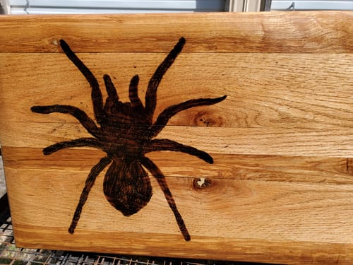 Customer photo: Scorch Paint by Ralph M.