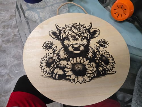 Customer photo: Wood Finishing Oil by Eric B.