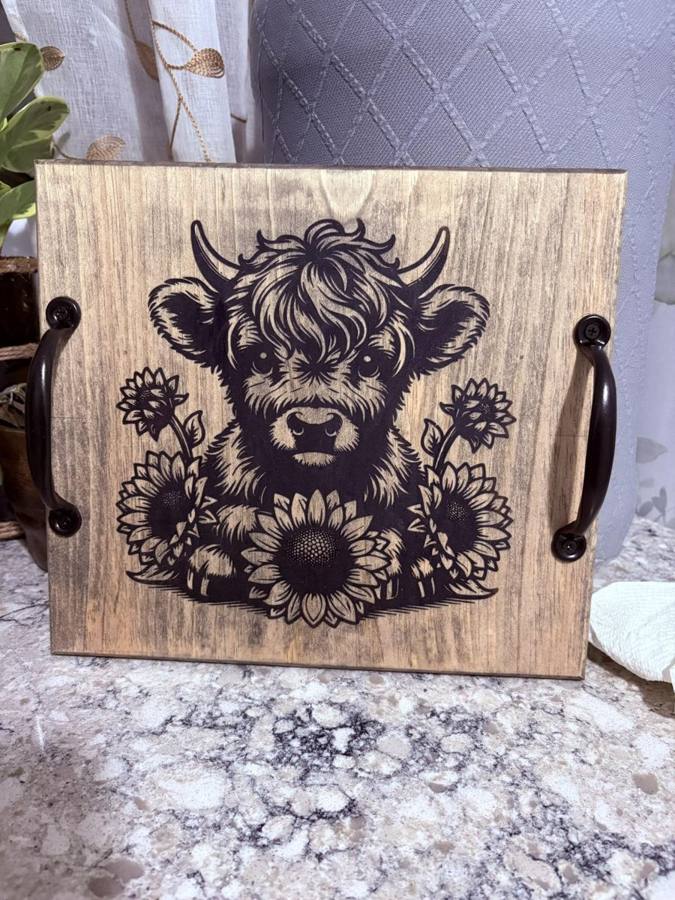 Wood burning project made with Scorch Marker by Tracy Stanco
